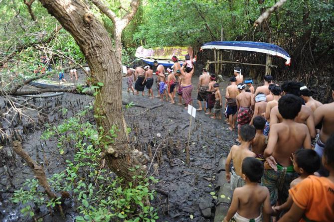 Balinese people walk between mangroves to put mud on their body during the traditional mud baths.