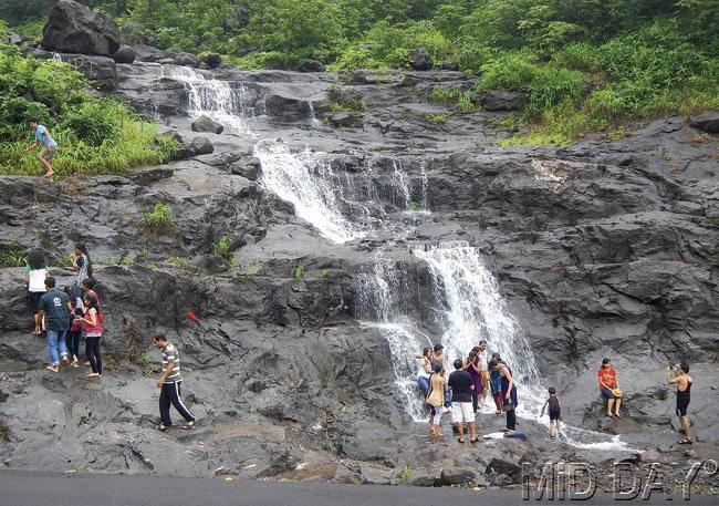 The first trickle of a waterfall at Malshej Ghat. Due to delayed monsoon, the first waterfall became active over the weekend. Pic/Suresh KK