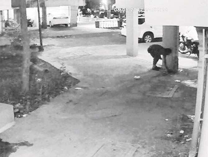 In May 2017, strays dogs living in Dahisar's Krishna Vatika Complex were poisoned to death. What was heartbreaking was that the same set of dogs had saved the society from an attack by the notorious Chaddi Banyan gang in 2012. Society members zeroed in on a resident as the suspect, after going through CCTV footage and a case was registered against him