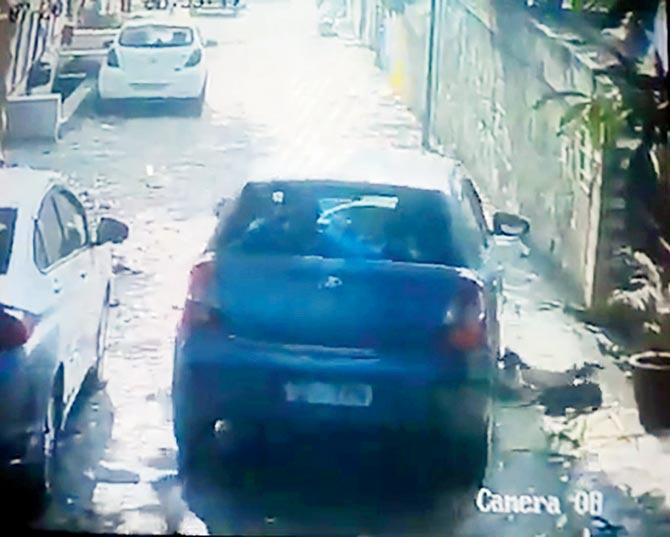 In December 2017, Mumbai Police booked a car driver for deliberately running his car over a sleeping puppy in Mulund. A resident of a nearby society said, 'I used to take care of three stray puppies, all of whom are two months old. On that fateful day, I found one of them missing. When I checked the footage from a nearby CCTV camera, I found out that a Toyota Etios driver had driven his car over the sleeping puppies. While two of them managed to spring out of harm's way, the third was caught under the wheels and was in pain before going limp.'