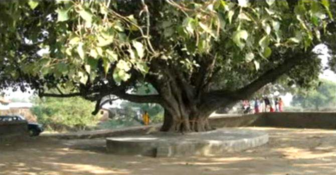 Pawan Hans Quarters, Juhu: In 1989, a girl named Salma committed suicide by burning herself in this area. Since then, people have claimed seeing her burned body roaming around a Peepal tree in the area. Thereafter, residents have built a Hanuman Temple in the area to protect themselves from the evil spirit