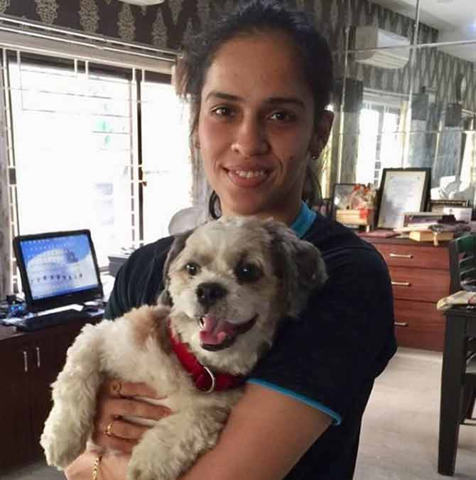 Badminton player Saina Nehwal absolutely adores her dog Chopsey. Nehwal often puts up videos of Chopsey with her parents, at their home in Hyderabad