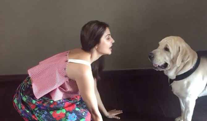 For Anushka Sharma, the first 'Dude' in her life was her Labrador retriever. The pooch features in a lot of the actress' social media posts