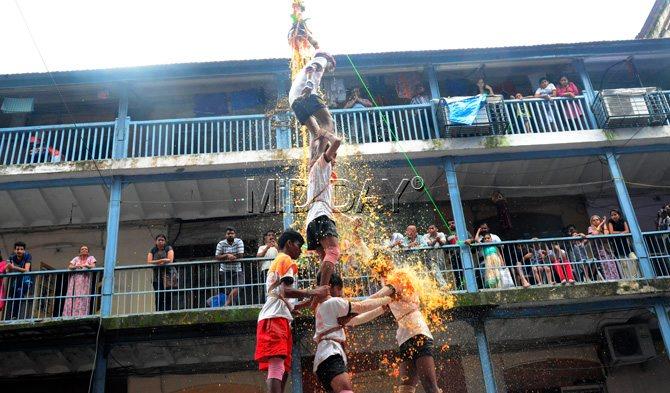 With the bar on heights of human pyramids relaxed by the Bombay High Court, the celebrations were organised with full gusto in Mumbai, Thane, Navi Mumbai, Palghar, Pune, Nashik, Kolhapur, Nagpur and other major cities.