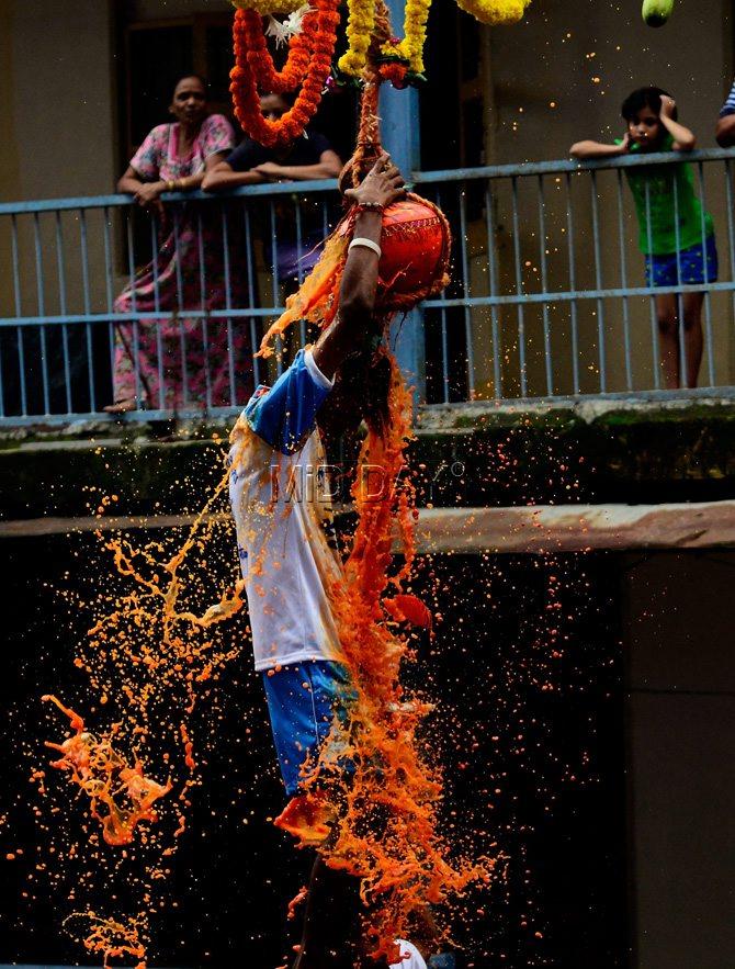 Those successfully breaking the 'Dahi Handi' hanging barely within reach of the precariously balanced human pyramids, were rewarded with grand prizes in cash and kind, besides fame and glory. Pic/Suresh Karkera