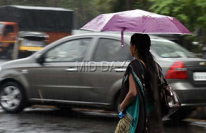 'There is no water logging in any part of the city, neither incidents of tree falls or electricity failures have been reports,' said officials, adding that the rains are pleasant news for Mumbaikars. Pic/Nimesh Dave 