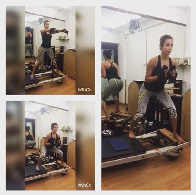 Malaika Arora is a fitness enthusiast and sticks to her workout and diet regimen strictly. In this image, Malaika Arora is seen working out on the stability chair