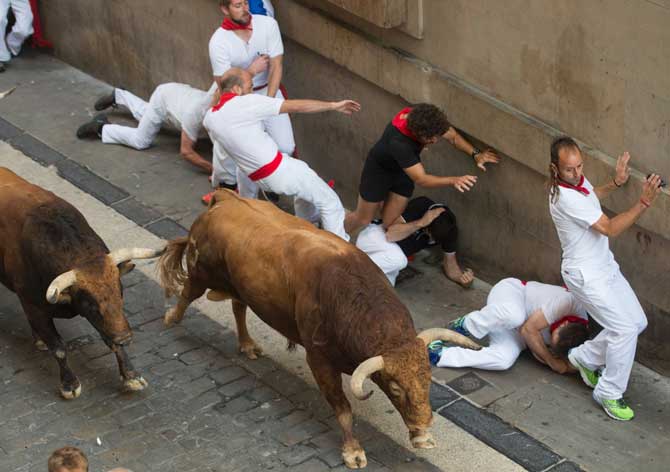 On each day of the festival six bulls are released at 8:00 a.m. (0600 GMT) to run from their corral through the narrow, cobbled streets of the old town over an 850-meter (yard) course. Ahead of them are the runners, who try to stay close to the bulls without falling over or being gored.