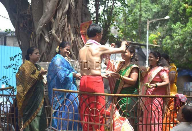 A woman prays for the prosperity and longevity of her husband by tying a thread around a Banyan tree. 