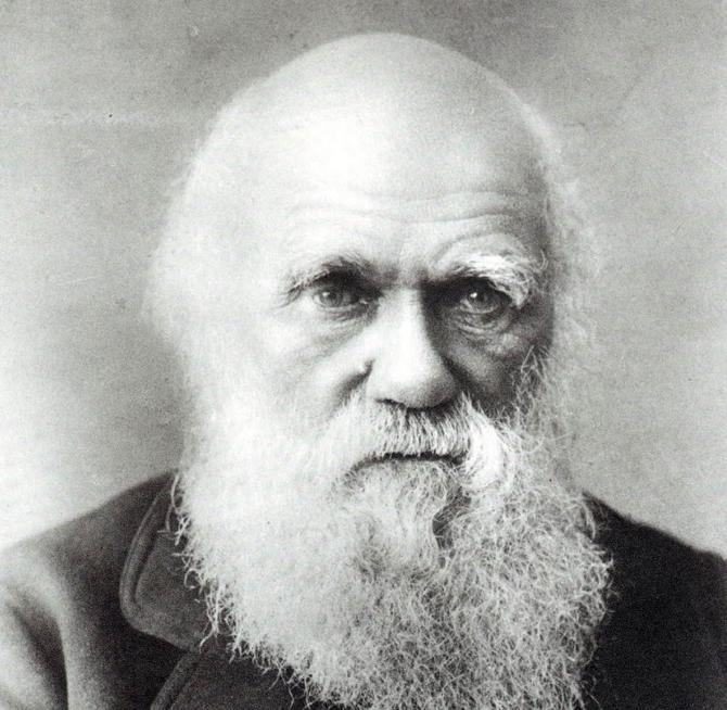While evolutionary biologist Charles Darwin changed the way human beings understood their very existence, he had several struggles of his own. Apart from depression, Darwin also struggled with a host of other conditions including vertigo, tremors, eczema and bloating among other things. Pic/Youtube
