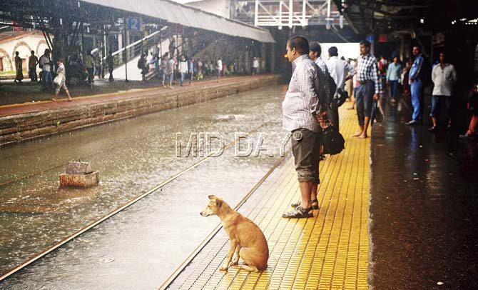 Waters swill around the Sion station as commuters wait in vain for the train. Pic/Pradeep Dhivar