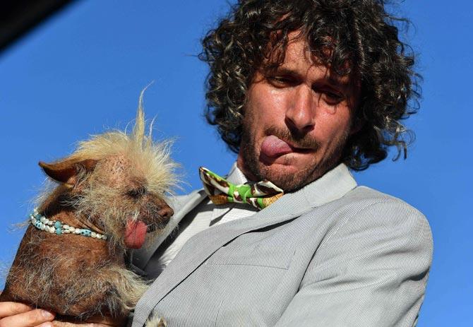 Judge Neil Gottlieb impersonates Josie at the World's Ugliest Dog Competition