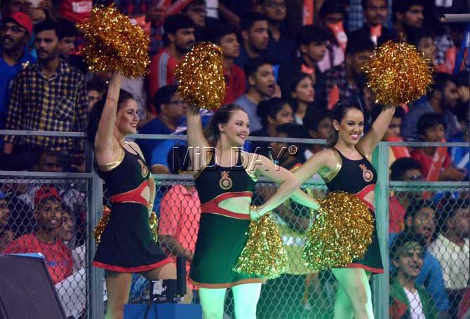 Royal Challengers Bangalore's cheerleaders egg their team on. Pic/PTI