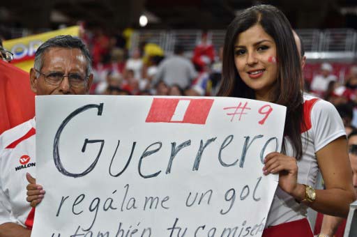 A Peru supporter holds up a signboard during a match at Copa America 2016.