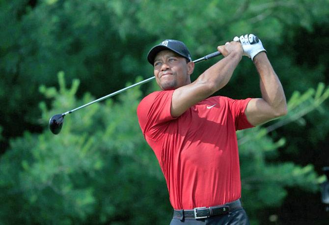 Total Earnings: $50.6 million. (golfer)